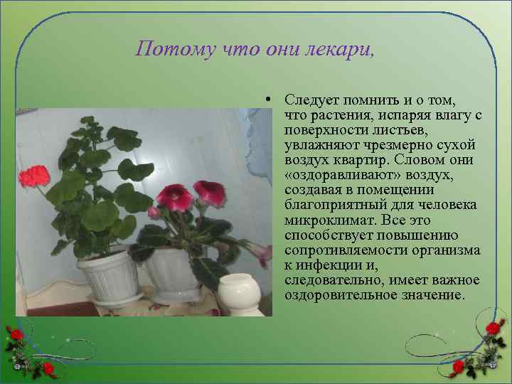 Потому что они лекари, • Следует помнить и о том, что растения, испаряя влагу