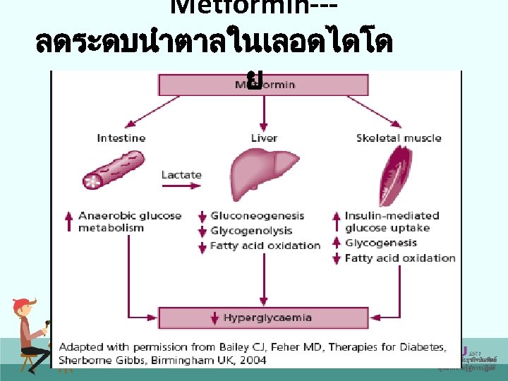 Metformin--ลดระดบนำตาลในเลอดไดโด ย 