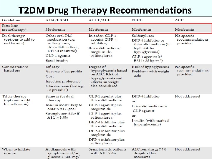 T 2 DM Drug Therapy Recommendations 3 