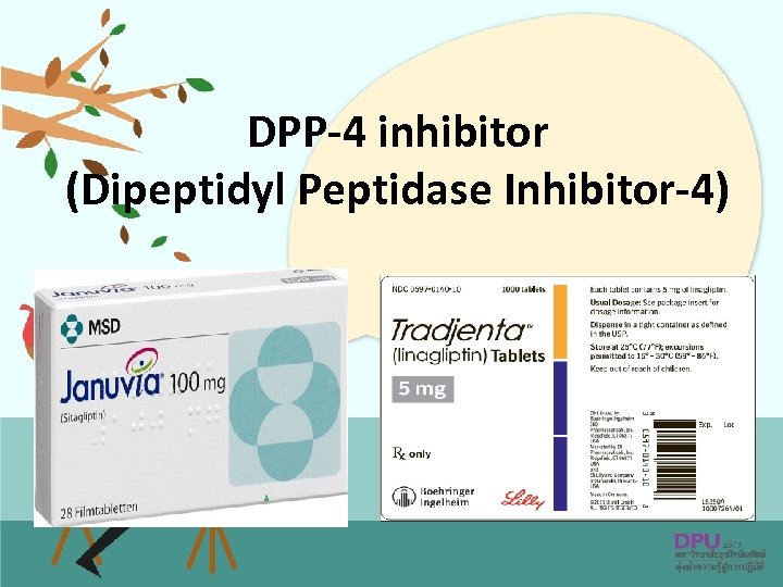 DPP-4 inhibitor (Dipeptidyl Peptidase Inhibitor-4) 