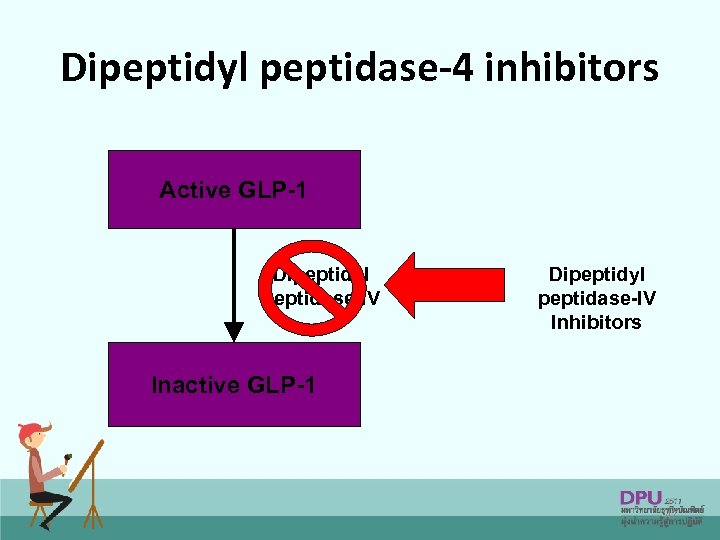Dipeptidyl peptidase-4 inhibitors Active GLP-1 Dipeptidyl peptidase-IV Inhibitors Inactive GLP-1 47 