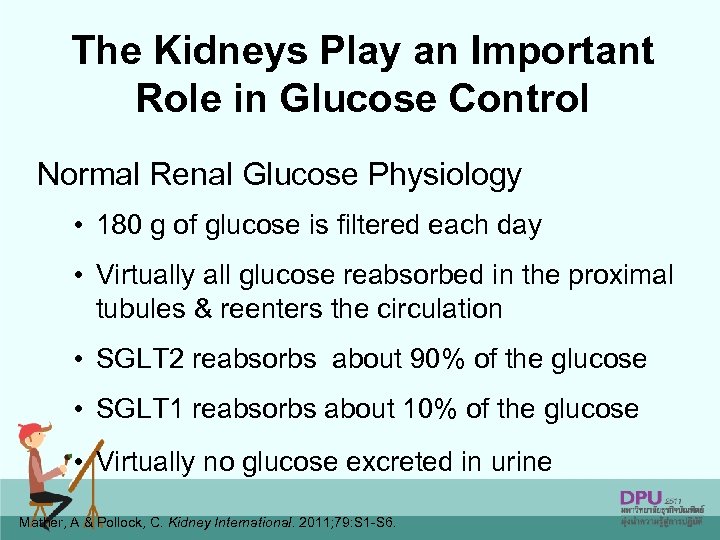 The Kidneys Play an Important Role in Glucose Control Normal Renal Glucose Physiology •