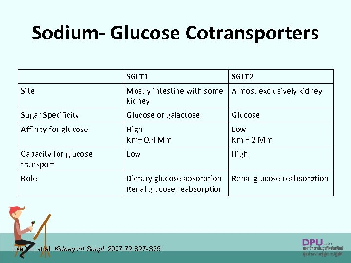 Sodium- Glucose Cotransporters SGLT 1 SGLT 2 Site Mostly intestine with some Almost exclusively