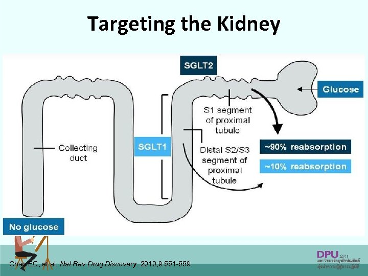 Targeting the Kidney Chao EC, et al. Nat Rev Drug Discovery. 2010; 9: 551