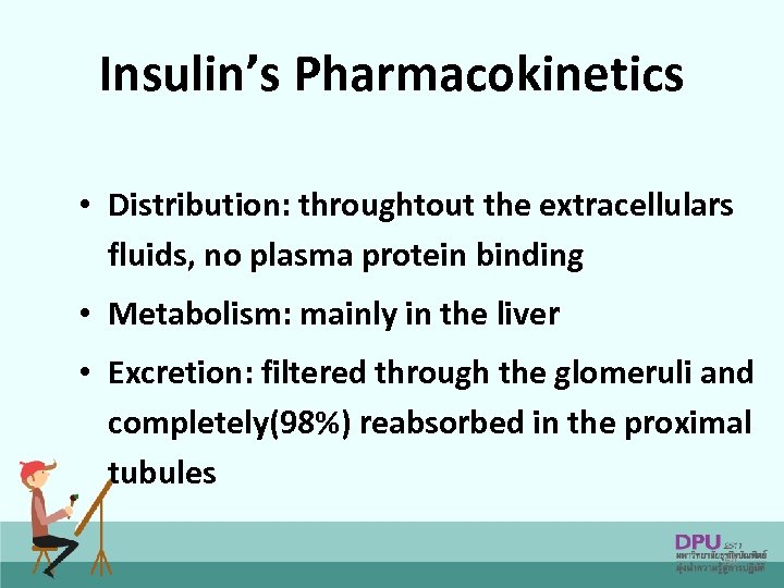 Insulin’s Pharmacokinetics • Distribution: throughtout the extracellulars fluids, no plasma protein binding • Metabolism: