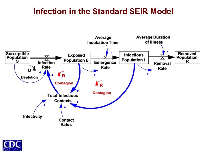 Infection in the Standard SEIR Model 