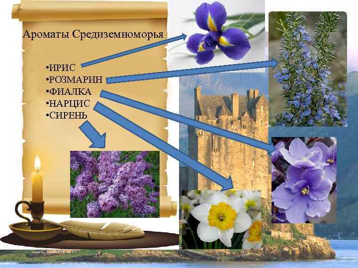 Ароматы Средиземноморья • ИРИС • РОЗМАРИН • ФИАЛКА • НАРЦИС • СИРЕНЬ 