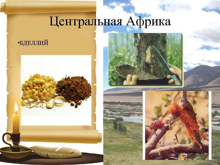 Центральная Африка • БДЕЛЛИЙ 