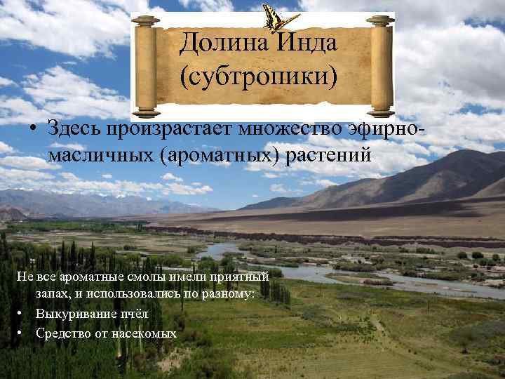 Долина Инда (субтропики) • Здесь произрастает множество эфирномасличных (ароматных) растений Не все ароматные смолы