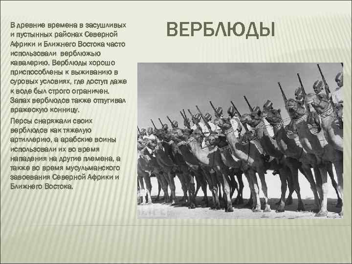 В древние времена в засушливых и пустынных районах Северной Африки и Ближнего Востока часто