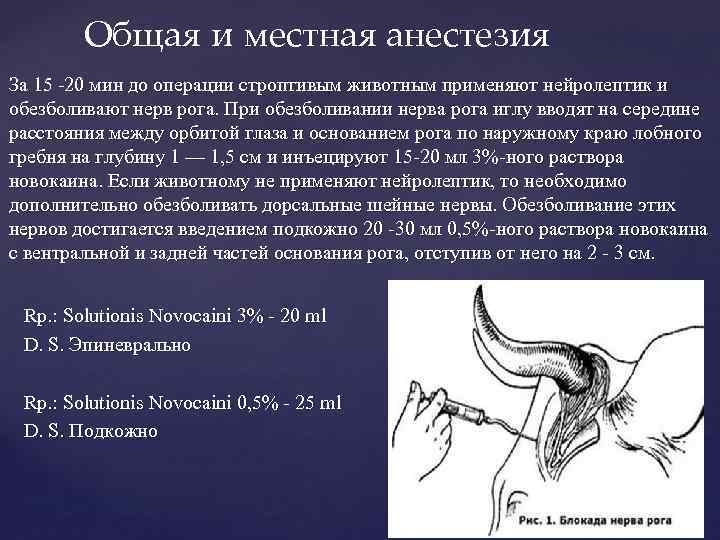 Общая и местная анестезия За 15 -20 мин до операции строптивым животным применяют нейролептик