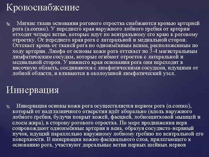 Кровоснабжение Мягкие ткани основания рогового отростка снабжаются кровью артерией рога (a. cornus). У переднего