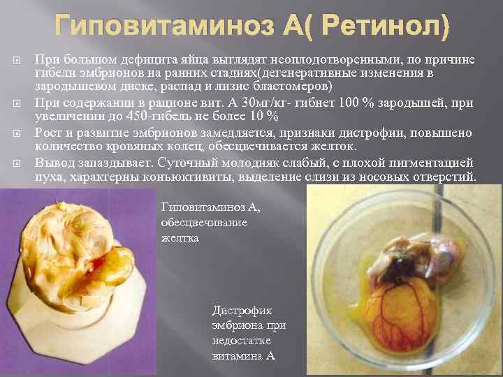 Гиповитаминоз А( Ретинол) При большом дефицита яйца выглядят неоплодотворенными, по причине гибели эмбрионов на