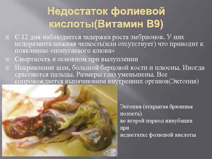 Недостаток фолиевой кислоты(Витамин В 9) С 12 дня наблюдается задержка роста эмбрионов. У них