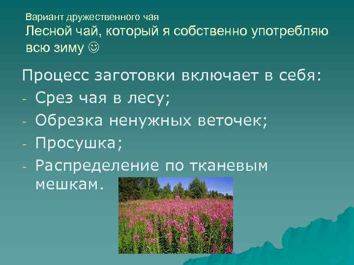 Вариант дружественного чая Лесной чай, который я собственно употребляю всю зиму Процесс заготовки включает