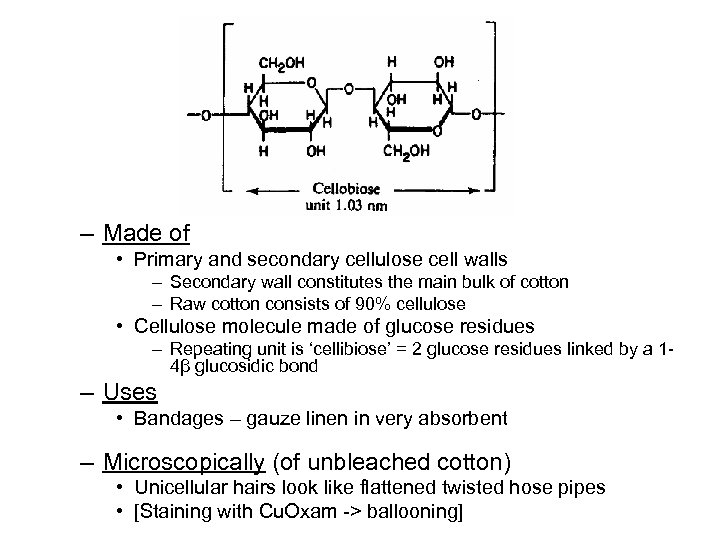 – Made of • Primary and secondary cellulose cell walls – Secondary wall constitutes
