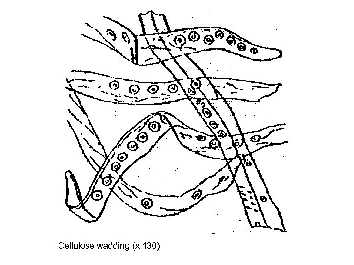 Cellulose wadding (x 130) 