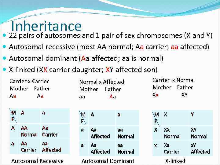 Inheritanceand 1 pair of sex chromosomes (X and Y) 22 pairs of autosomes Autosomal