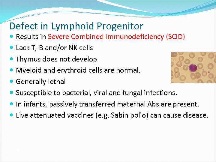 Defect in Lymphoid Progenitor Results in Severe Combined Immunodeficiency (SCID) Lack T, B and/or