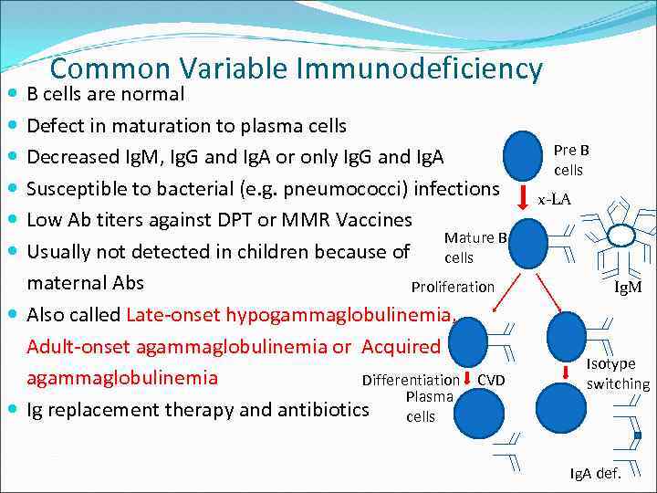 Immunodeficiency Mitzi Nagarkatti Professor And Chair Dept Pathology