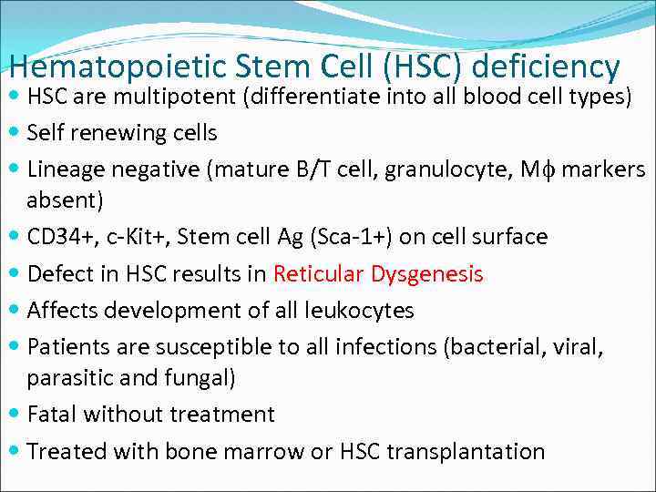 Hematopoietic Stem Cell (HSC) deficiency HSC are multipotent (differentiate into all blood cell types)