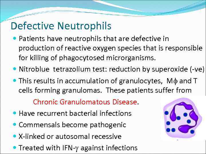 Defective Neutrophils Patients have neutrophils that are defective in production of reactive oxygen species