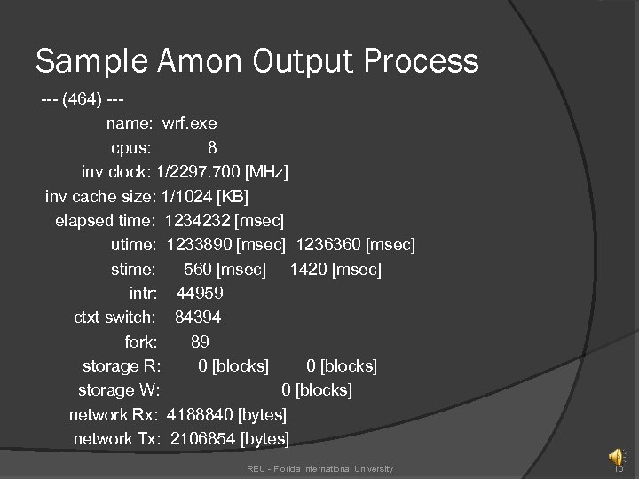 Sample Amon Output Process --- (464) --name: wrf. exe cpus: 8 inv clock: 1/2297.