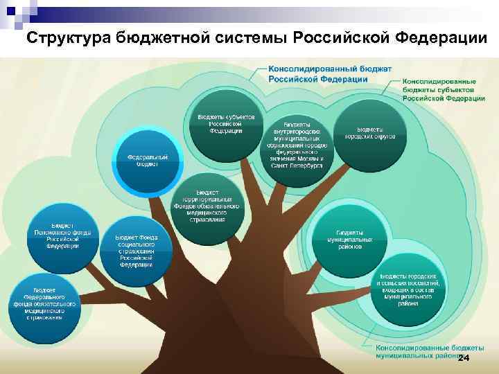 Структура бюджетной системы Российской Федерации 24 