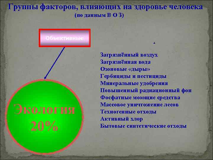 Группы факторов, влияющих на здоровье человека (по данным В О З) Объективные Экология 20%