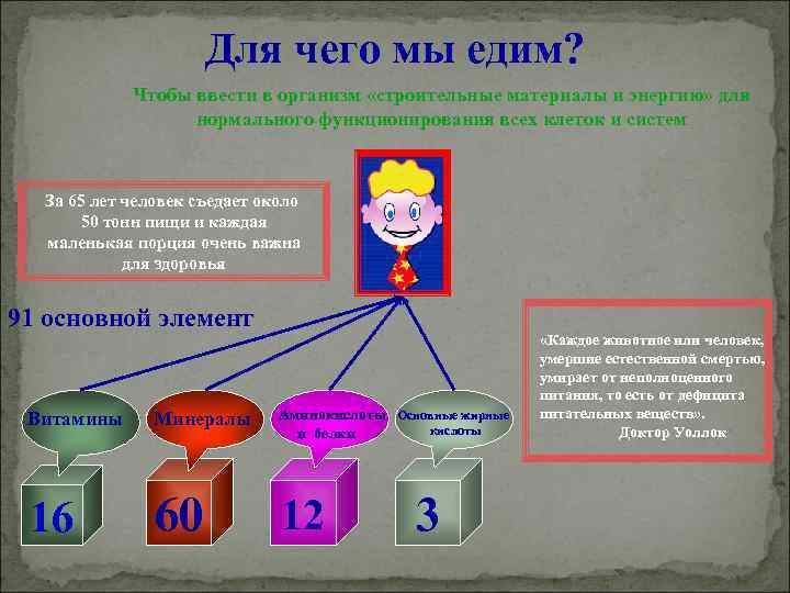 Для чего мы едим? Чтобы ввести в организм «строительные материалы и энергию» для нормального