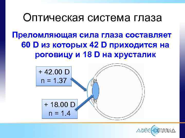 Оптическая система глаза Преломляющая сила глаза составляет 60 D из которых 42 D приходится