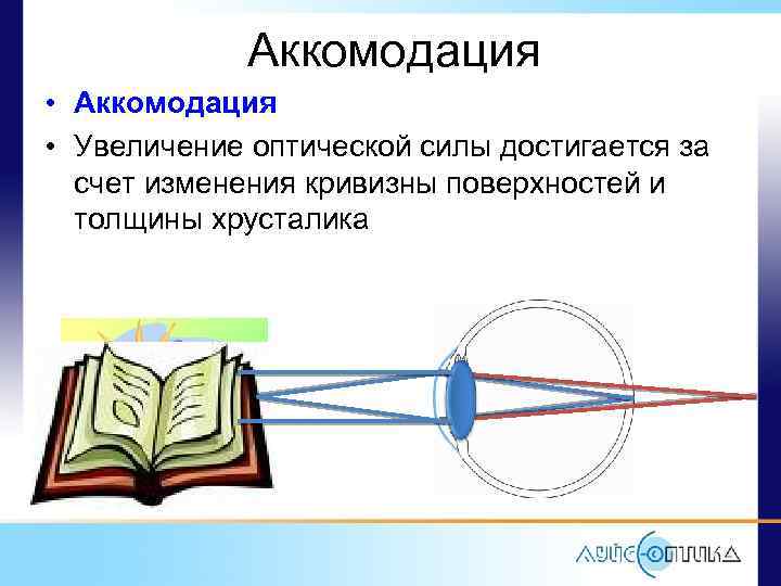 Аккомодация • Увеличение оптической силы достигается за счет изменения кривизны поверхностей и толщины хрусталика