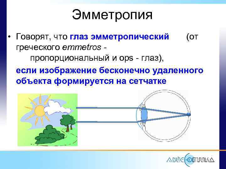 Эмметропия • Говорят, что глаз эмметропический (от греческого emmetros пропорциональный и ops - глаз),