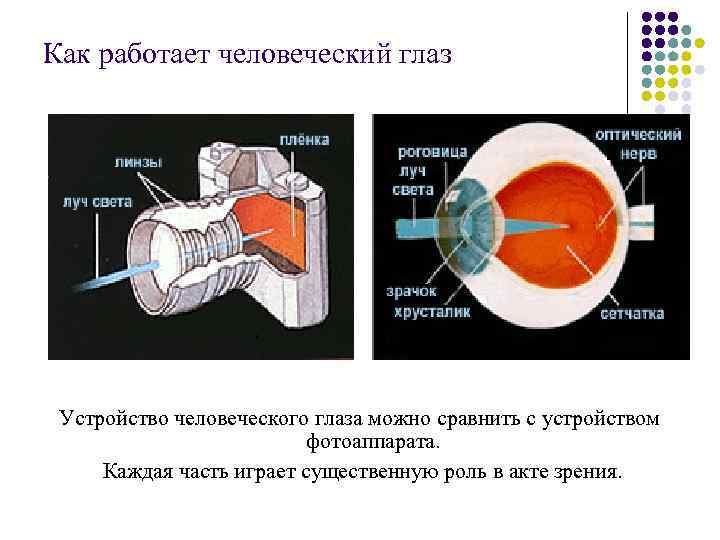 Свойства изображения глаза