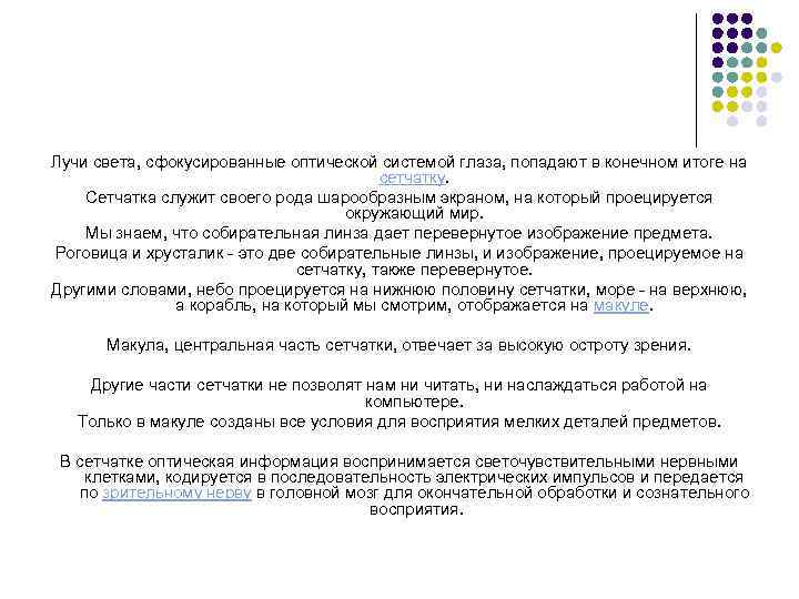 Лучи света, сфокусированные оптической системой глаза, попадают в конечном итоге на сетчатку. Сетчатка служит