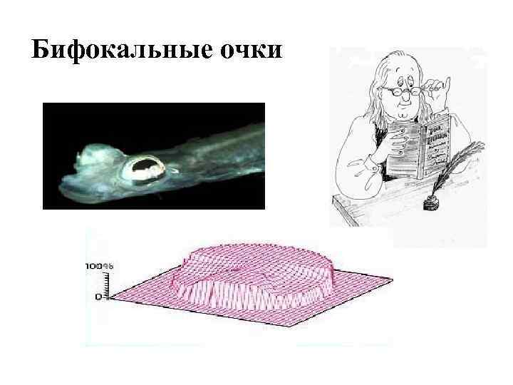 Бифокальные очки 