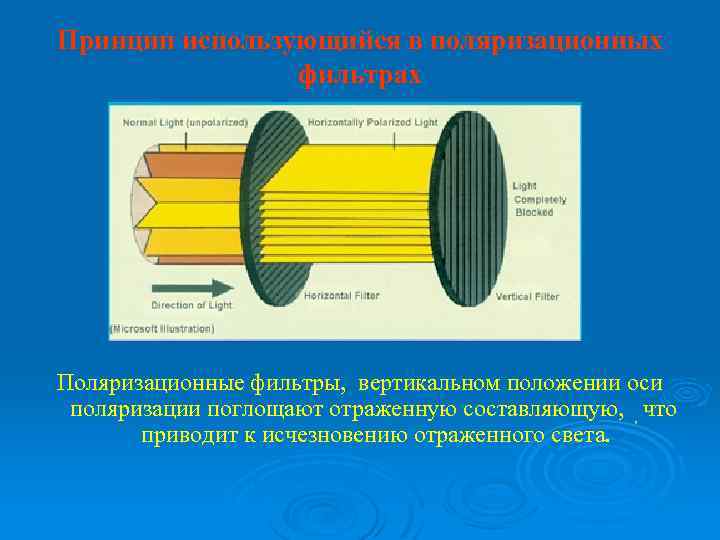 Принцип использующийся в поляризационных фильтрах Поляризационные фильтры, вертикальном положении оси поляризации поглощают отраженную составляющую,