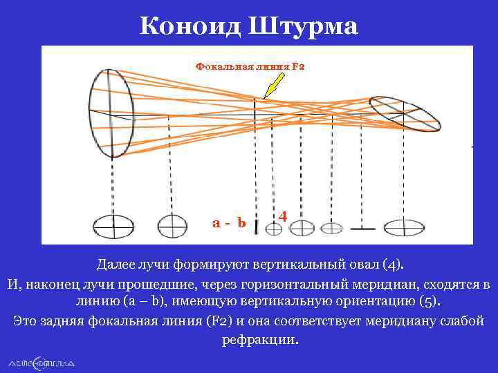 Коноид Штурма Фокальная линия F 2 a- b 4 Далее лучи формируют вертикальный овал