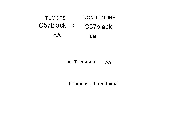 NON-TUMORS C 57 black AA X C 57 black aa All Tumorous Aa 3