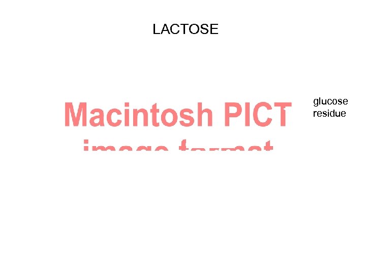 LACTOSE glucose residue CANDIDATE GENE 