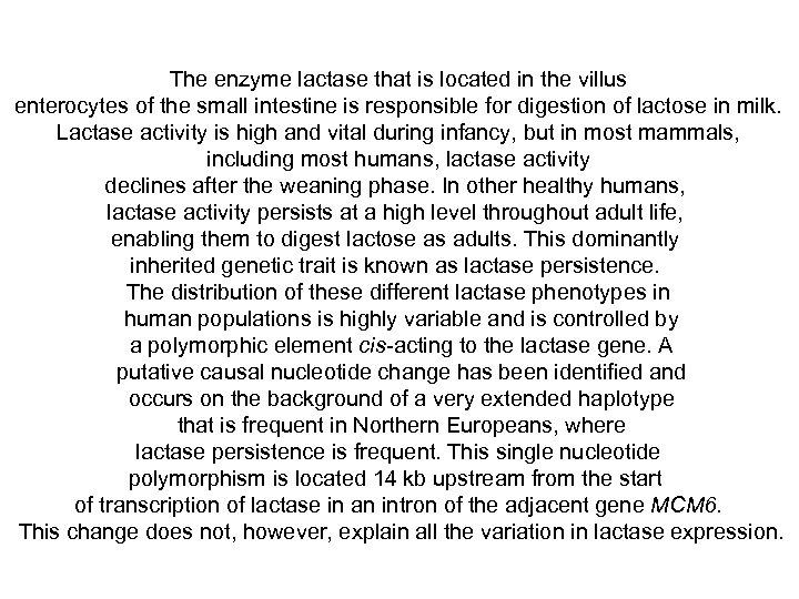 The enzyme lactase that is located in the villus enterocytes of the small intestine