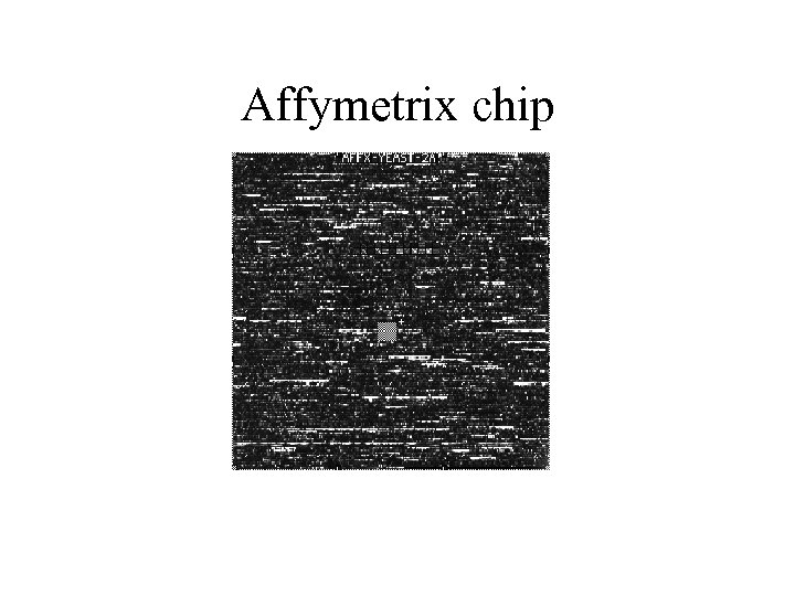 Affymetrix chip 