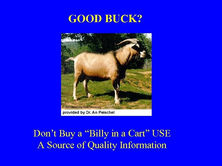 GOOD BUCK? Don’t Buy a “Billy in a Cart” USE A Source of Quality