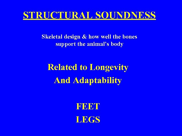 STRUCTURAL SOUNDNESS Skeletal design & how well the bones support the animal’s body Related