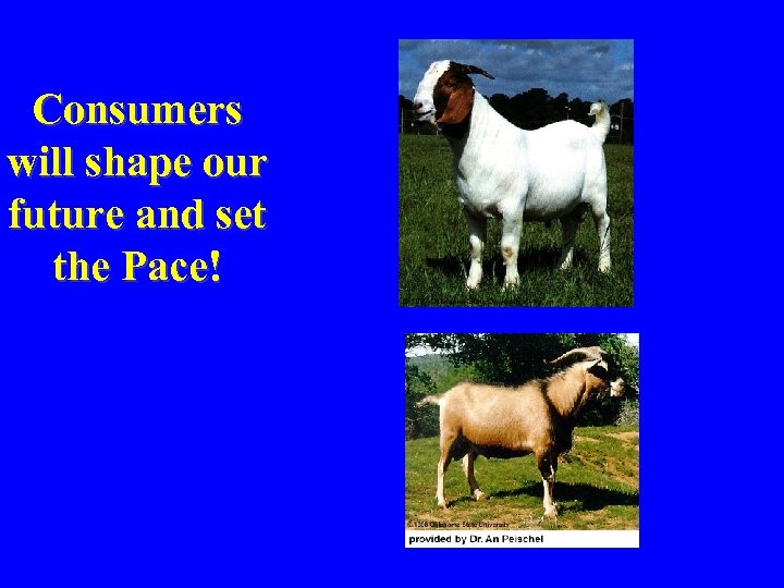 Consumers will shape our future and set the Pace! 