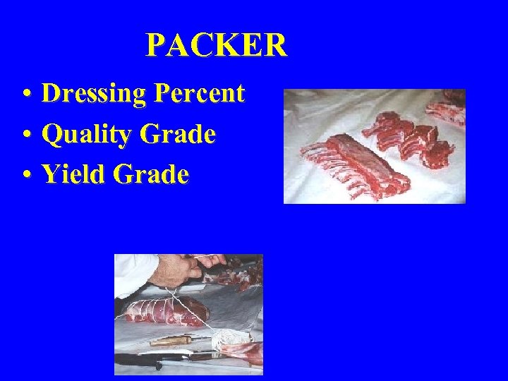 PACKER • Dressing Percent • Quality Grade • Yield Grade 