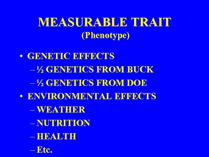 MEASURABLE TRAIT (Phenotype) • GENETIC EFFECTS – ½ GENETICS FROM BUCK – ½ GENETICS