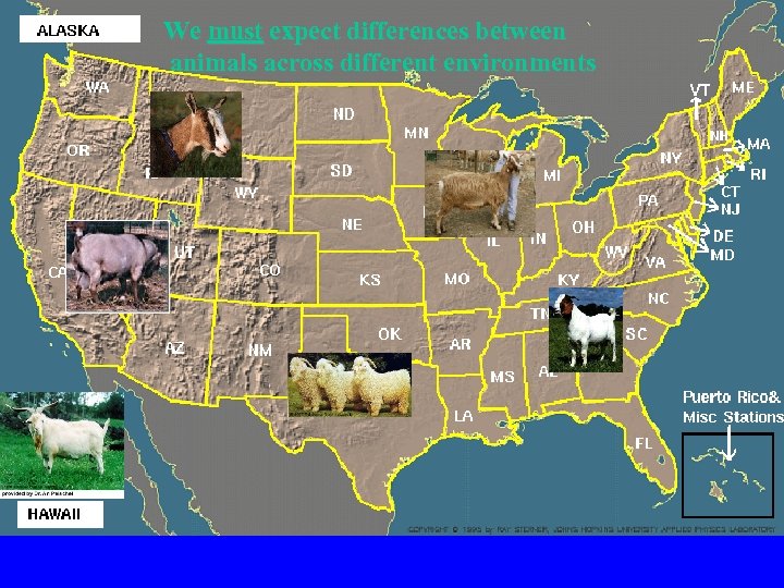 We must expect differences between animals across different environments 