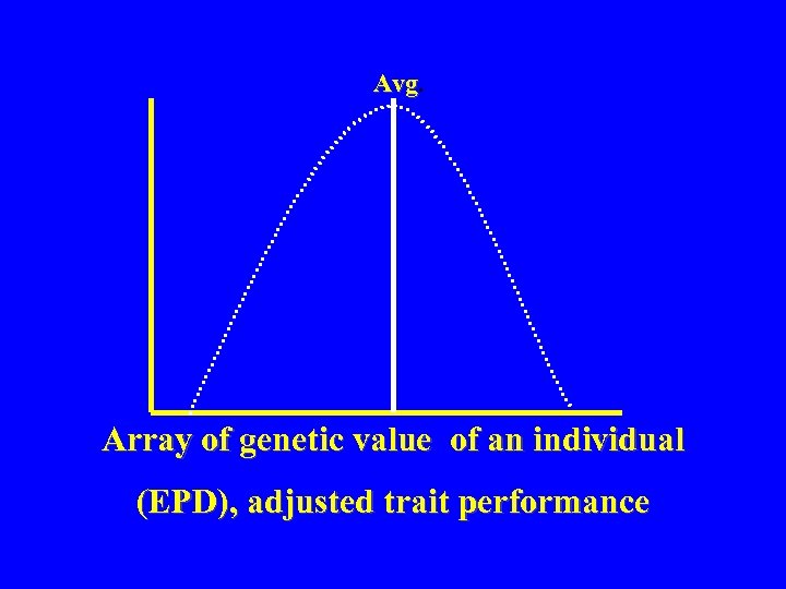 Avg. Avg Array of genetic value of an individual (EPD), adjusted trait performance 