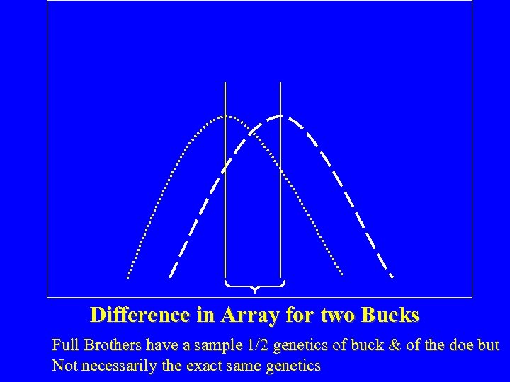 Difference in Array for two Bucks Full Brothers have a sample 1/2 genetics of